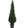 5′ Potted Cedar Tree UV
