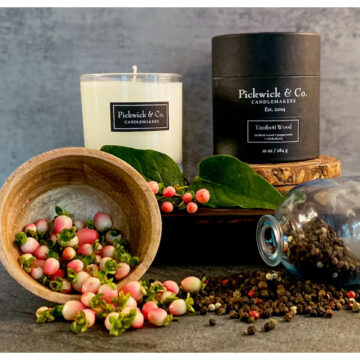 Tamboti Wood -Pickwick & Co.