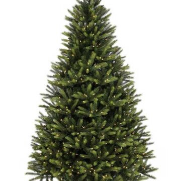 7.5' Kingston Spruce w/ 1000 LED Clear Lights