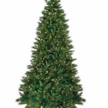 10' Belgium Mix with 1050 Clear LED Lights