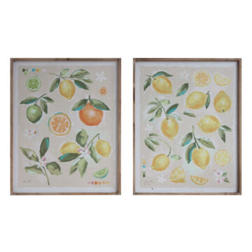 Wood Framed Canvas Wall Decor w/ Citrus Fruit, SET OF TWO