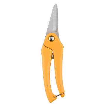 Daisy - Shear