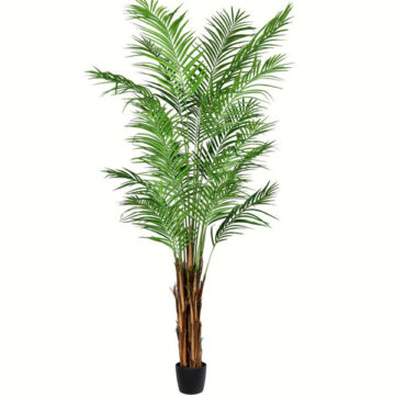 7' Potted Areca Palm 739 Leaves