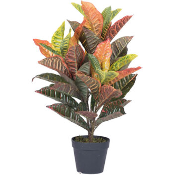 30" Real Touch Croton in Pot