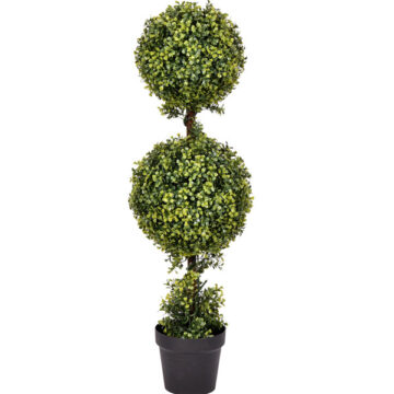 3' Boxwood Double Ball in Pot UV