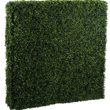 48" x 12" x 48" Boxwood Hedge UV