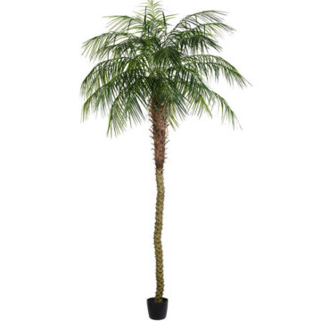 9' Potted Phoenix Palm Tree 1144Lvs