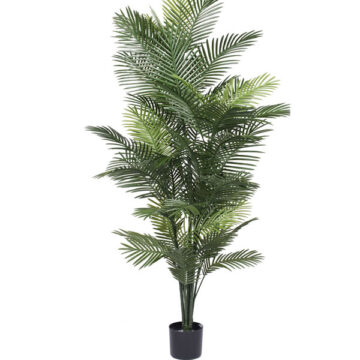 72" UV Robellini Palm Tree w/57 Lvs