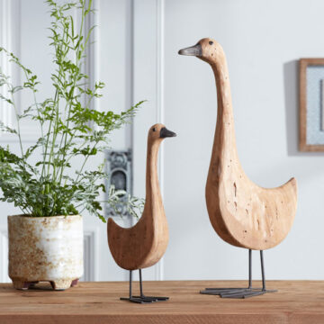 Goose/Gosling - Set/2