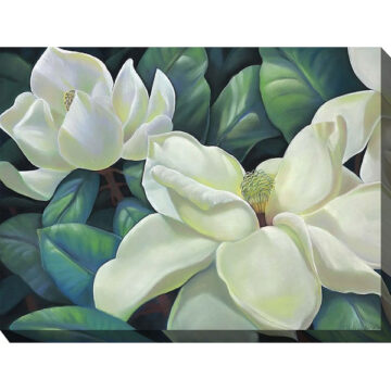 Southern Queen 40 x 30 Outdoor Art by WOTWD