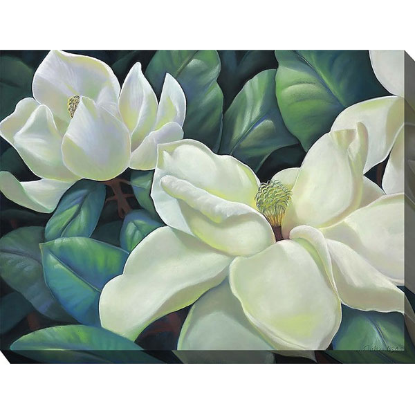 Southern Queen 40 x 30 Outdoor Art by WOTWD
