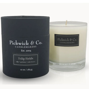 Tulip Fields -Pickwick & Co.