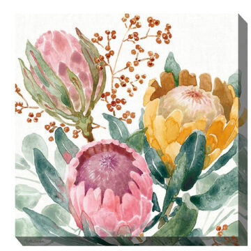 Protea Passion 24 x 24 Outdoor Art by WOTWD