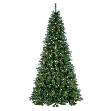 8.5' x 61" Cashmere Pine LED 900WW