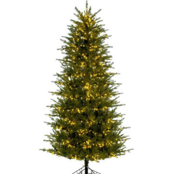 7.5' GEORGIAN FRAZIER FIR W/650 WARM WHITE LED LIGHGTS