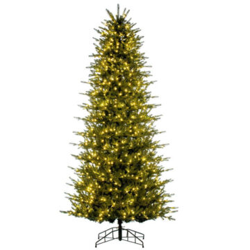 10' GEORGIAN FIR WITH 1250 WARM WHITE LED LIGHTS