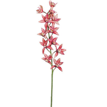 38" Cymbidium Orchid Spray Watermelon
