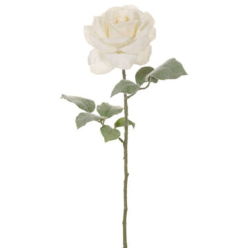24" Frosted Rose Spray- Cream/white